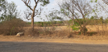 Agricultural/Farm Land for Sale in Thudiyalur, Coimbatore (5 Acre)