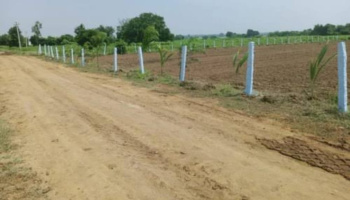 Agricultural/Farm Land for Sale in Saravanampatti, Coimbatore (3.25 Acre)