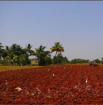440 Acre Agricultural/Farm Land for Sale in Mahilchi Nagar, Tirunelveli