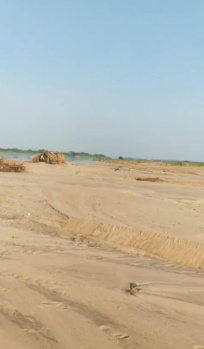 4300 Acre Agricultural/Farm Land for Sale in Paramakudi, Ramanathapuram
