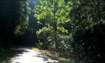 1600 Acre Agricultural/Farm Land for Sale in Periyakulam, Theni
