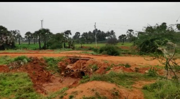40 Acre Agricultural/Farm Land for Sale in Panagudi, Tirunelveli