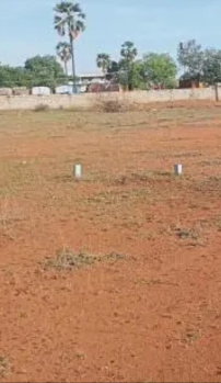 Commercial Lands /Inst. Land for Sale in Pattanam, Coimbatore (5 Acre)