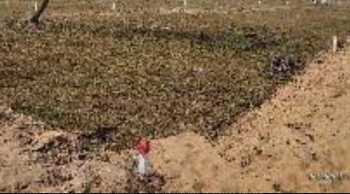 75 Cent Commercial Lands /Inst. Land for Sale in Sulur, Coimbatore