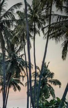 Agricultural/Farm Land for Sale in Karamadai, Coimbatore (2.30 Acre)