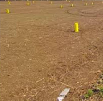 Commercial Lands /Inst. Land for Sale in Reddiarpatti, Tirunelveli (4 Cent)