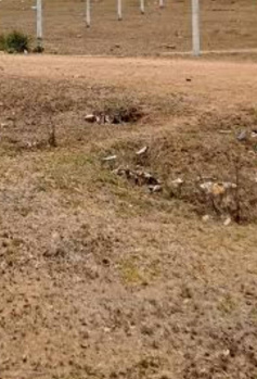 Commercial Lands /Inst. Land for Sale in Reddiarpatti, Tirunelveli (3 Cent)