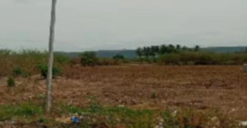11 Acre Commercial Lands /Inst. Land for Sale in Meelavittan, Thoothukudi