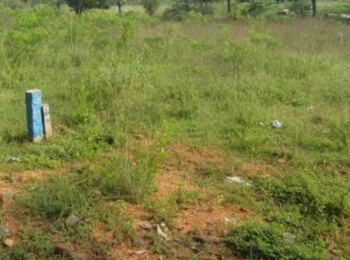 50 Cent Commercial Lands /Inst. Land for Sale in Jothipuram, Tirunelveli