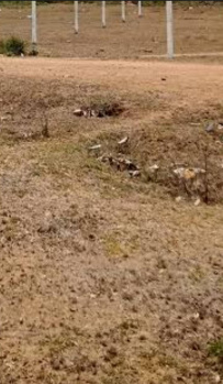 1 Acre Agricultural/Farm Land for Sale in Walayar, Coimbatore