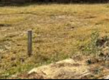 Commercial Lands /Inst. Land for Sale in Eachanari, Coimbatore (4 Cent)