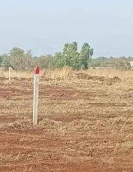 1.25 Acre Agricultural/Farm Land for Sale in Siruvani Nagar, Coimbatore