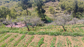 10 Acre Agricultural/Farm Land for Sale in Mysore Road, Ooty