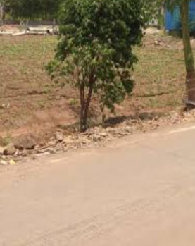 6 Acre Commercial Lands /Inst. Land for Sale in Tenkasi, Tirunelveli