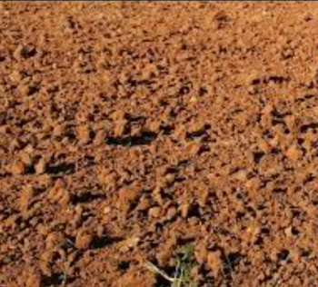 Commercial Lands /Inst. Land for Sale in Elayirampannai, Virudhunagar (53 Cent)