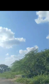3000 Acre Agricultural/Farm Land for Sale in Kamuthi, Ramanathapuram