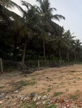 400 Acre Agricultural/Farm Land for Sale in Nagampatti, Thoothukudi