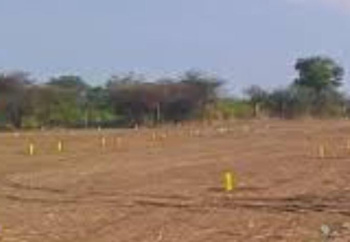 55 Cent Commercial Lands /Inst. Land for Sale in Tenkasi, Tirunelveli