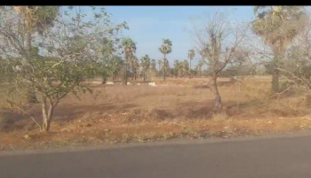 200 Acre Agricultural/Farm Land for Sale in Sankarankoil, Tirunelveli