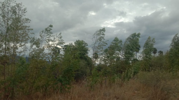 20 Acre Agricultural/Farm Land for Sale in Tenkasi, Tirunelveli