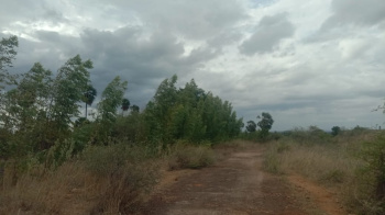 Property for sale in Tenkasi, Tirunelveli
