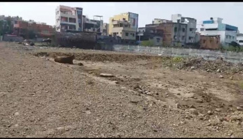 8.55 Cent Commercial Lands /Inst. Land for Sale in Tenkasi, Tirunelveli