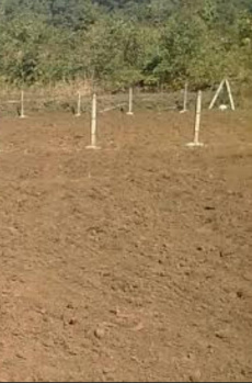 20 Acre Commercial Lands /Inst. Land for Sale in Anaikatti, Coimbatore