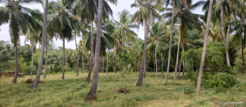 1.5 Acre Agricultural/Farm Land for Sale in Karamadai, Coimbatore