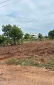 33 Acre Commercial Lands /Inst. Land for Sale in Kanakkampalayam, Coimbatore