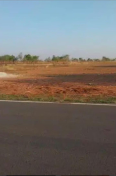 Agricultural/Farm Land for Sale in Avinashi Road, Tirupur (140 Acre)