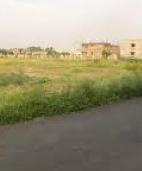 Commercial Lands /Inst. Land for Sale in Chengalpet, Chennai (223 Acre)