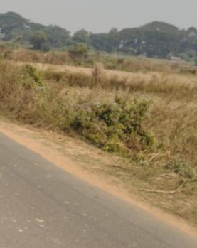 Commercial Lands /Inst. Land for Sale in Chengalpet, Chennai (40 Acre)