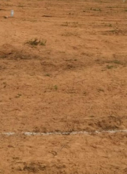 Commercial Lands /Inst. Land for Sale in Chennai (5200 Sq.ft.)