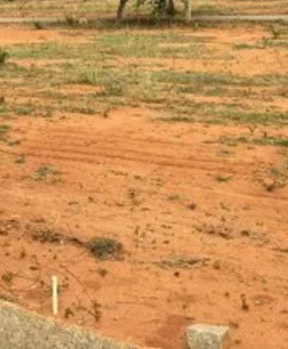 11 Acre Residential Plot for Sale in Veerapandi Pirivu, Coimbatore