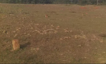 90 Cent Commercial Lands /Inst. Land for Sale in Karumathampatti, Coimbatore