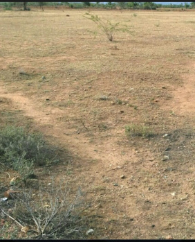 Commercial Lands /Inst. Land for Sale in Gobichettipalayam, Erode (3 Acre)