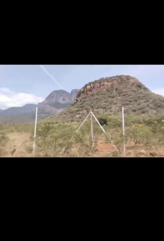 Agricultural/Farm Land for Sale in Panagudi, Tirunelveli (800 Acre)