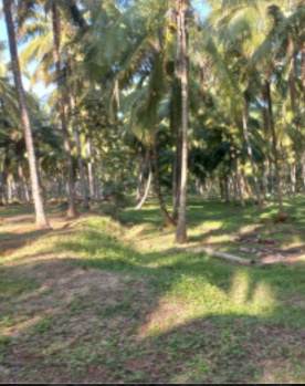 Agricultural/Farm Land for Sale in Thondamuthur, Coimbatore (1 Acre)