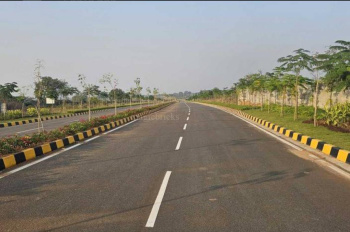 8.25 Acre Residential Plot for Sale in Neelambor, Coimbatore