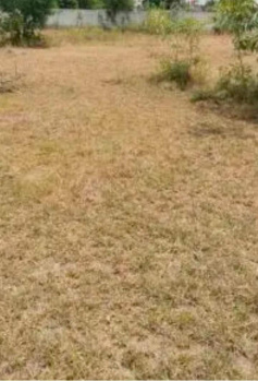 Commercial Lands /Inst. Land for Sale in Chennai (2650 Sq.ft.)