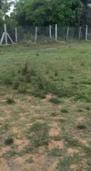 6 Acre Commercial Lands /Inst. Land for Sale in Tindivanam, Villupuram