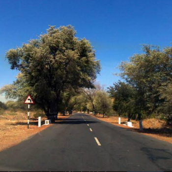 3.60 Acre Residential Plot for Sale in Thammampatti, Salem