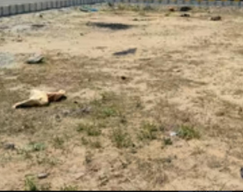 Commercial Lands /Inst. Land for Sale in Chennai (14400 Sq.ft.)