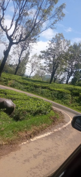 Industrial Land / Plot for Sale in Kotagiri, Ooty (597 Acre)