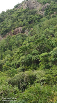 750 Acre Industrial Land / Plot for Sale in Ketti, Nilgiris