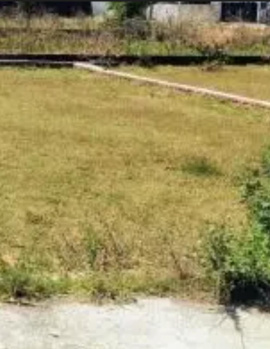 Commercial Lands /Inst. Land for Sale in Thondamuthur, Coimbatore (1.5 Acre)