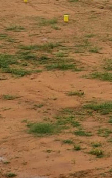 2650 Sq.ft. Commercial Lands /Inst. Land for Sale in Semmancheri, Chennai