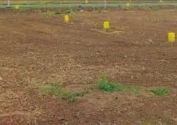 Residential Plot for Sale in Pallikaranai, Chennai (26400 Sq.ft.)