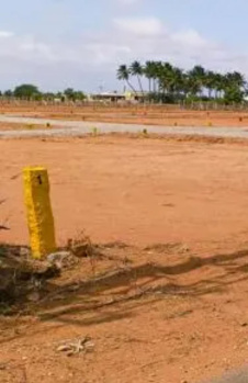 4.5 Acre Residential Plot for Sale in Podanur Shetty Palayam, Coimbatore