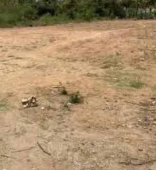 5 Cent Commercial Lands /Inst. Land for Sale in Ayikudi, Tirunelveli